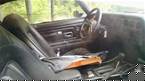 1977 Pontiac Trans Am Picture 6
