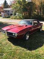 1967 Pontiac Firebird Picture 6