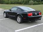 2008 Ford Shelby Picture 6