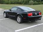 2008 Ford Shelby Picture 6