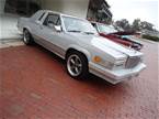 1981 Ford Thunderbird Picture 6
