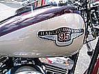 1998 Other H-D 95th Anniversary Picture 6