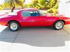 1978 Pontiac Firebird Picture 6