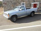 1988 Dodge Dakota Picture 6