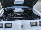 1979 Pontiac Trans Am Picture 6