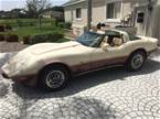 1979 Chevrolet Corvette Picture 6