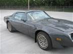 1981 Pontiac Trans Am Picture 6