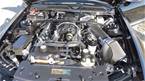 2007 Ford Shelby Picture 6