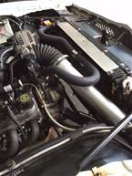 1978 Pontiac Firebird Picture 6