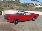 1964 1/2 Ford Mustang Picture 6