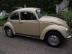 1969 Volkswagen Beetle Picture 6