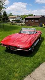 1966 Chevrolet Corvette Picture 6