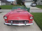 1956 Ford Thunderbird Picture 6