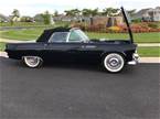 1955 Ford Thunderbird Picture 6