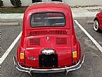 1970 Fiat 500L Picture 6