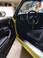 1978 Pontiac Trans Am Picture 6