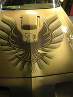 1981 Pontiac Trans Am Picture 6