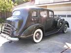1937 Packard Super Eight Picture 7