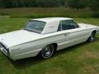 1966 Ford Thunderbird Picture 7
