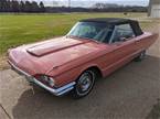 1964 Ford Thunderbird Picture 7