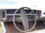 1975 Chevrolet Caprice Picture 7