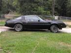 1979 Pontiac Trans Am Picture 7