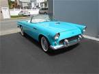 1955 Ford Thunderbird Picture 7
