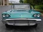 1959 Ford Thunderbird Picture 7