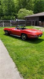 1966 Chevrolet Corvette Picture 7