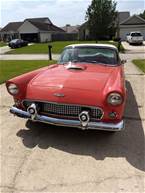 1956 Ford Thunderbird Picture 7