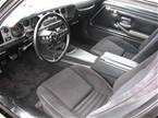 1980 Pontiac Firebird Picture 7