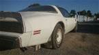 1980 Pontiac Trans Am Picture 7