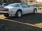 1980 Pontiac Trans Am Picture 7