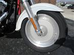 2005 Other H-D FLSTF Picture 8