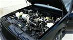 1987 Buick Grand National Picture 8