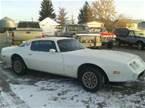 1979 Pontiac Firebird Picture 8