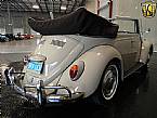 1967 Volkswagen Beetle Picture 8