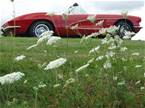 1961 Chevrolet Corvette Picture 8