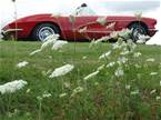 1961 Chevrolet Corvette Picture 8