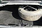 1981 Pontiac Firebird Picture 8