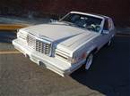 1981 Ford Thunderbird Picture 8