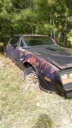 1977 Pontiac Trans Am Picture 8