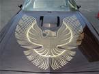 1981 Pontiac Trans Am Picture 8