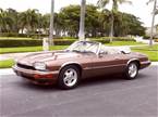 1995 Jaguar XJS Picture 8