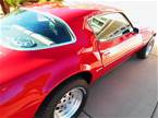 1978 Pontiac Firebird Picture 8