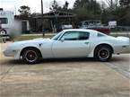 1979 Pontiac Trans Am Picture 8