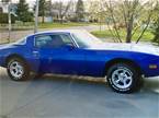 1978 Pontiac Firebird Picture 8