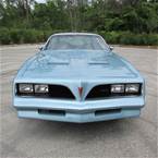 1978 Pontiac Firebird Picture 8