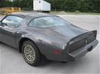 1981 Pontiac Trans Am Picture 8