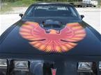 1979 Pontiac Firebird Picture 8